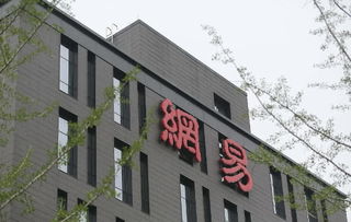 商人丁磊的情怀与取舍 从电商到教育